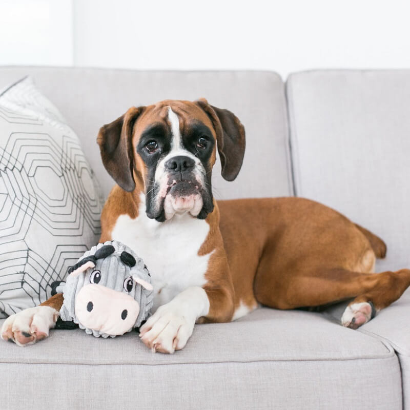 Petstages Peluches Fattiez Vaca