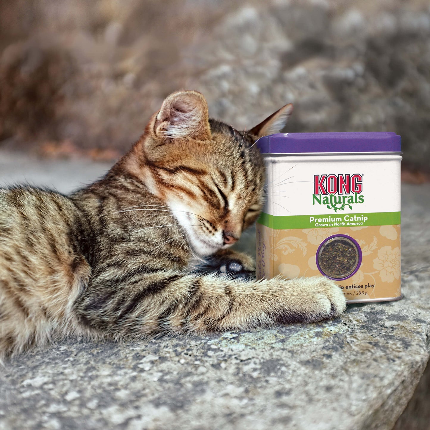 Kong Catnip Natural En Hojas 2 Oz Kong