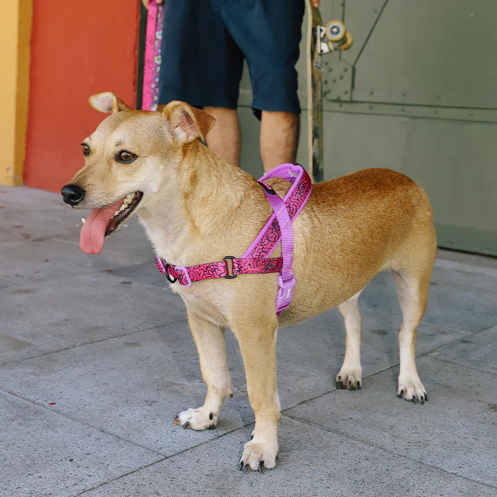 Zeedog Arnés Softer-Walk Brain - Rosa