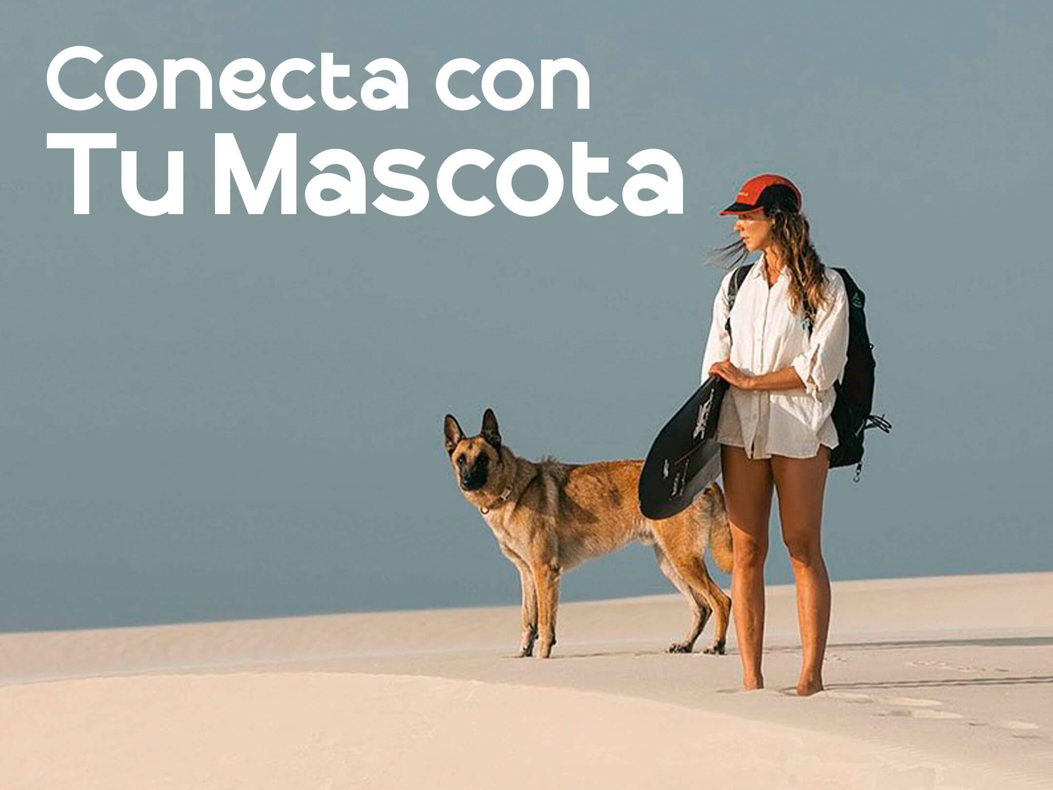 🐾 La conexión con tu mascota al salir a pasear