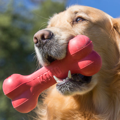 Kong Hueso De Caucho Kong Classic Medium