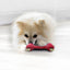 Kong Hueso De Caucho Kong Classic Large