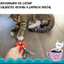 Catstages Catstages Rueda Masticasble Para Gato
