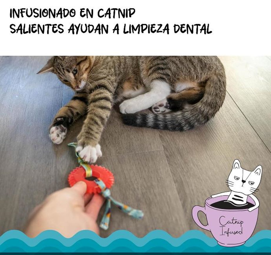 Catstages Catstages Rueda Masticasble Para Gato