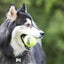 Kong Pelotas Kong Squeak Air Medium X3