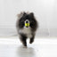 Kong Pelotas Kong Squeak Air Large X2
