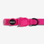 Zeedog Collar Led Para Gato Rosa