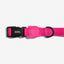 Zeedog Set Arnés + Correa Led Rosa
