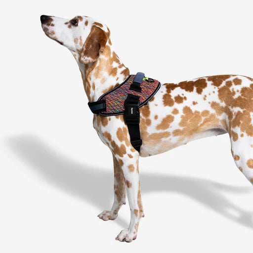 Zeedog Arnés Flyharness Vortex
