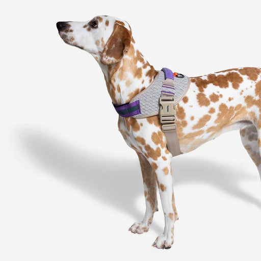 Zeedog Arnés Flyharness Acg