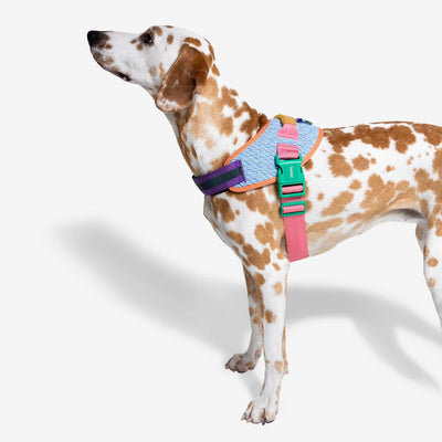 Zeedog Arnés Flyharness Galaxy