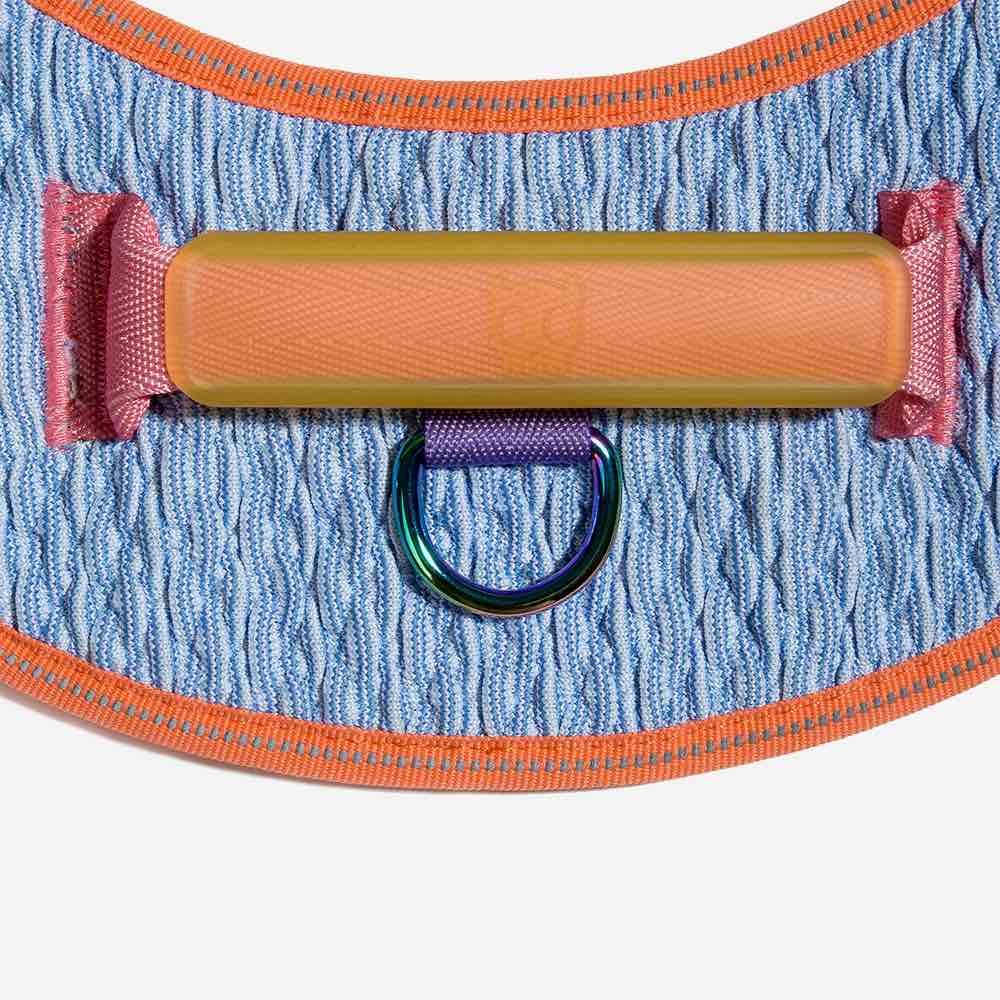 Zeedog Arnés Flyharness Galaxy
