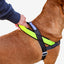 Zeedog Arnés Softer-Walk Nox
