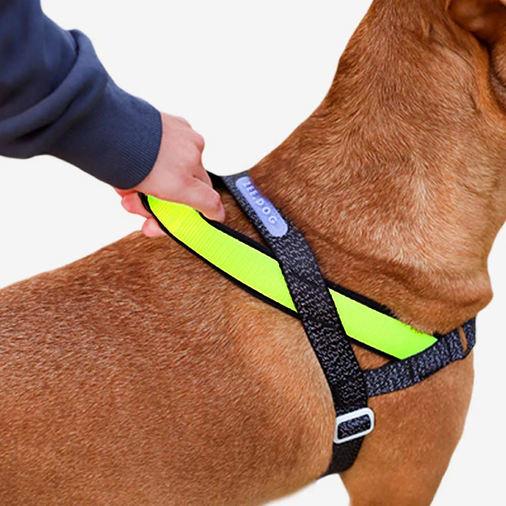 Zeedog Arnés Softer-Walk Nox