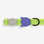 Zeedog Collar Para Gato Nox Lumen