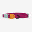 Zeedog Collar Para Gato Nox Sidus