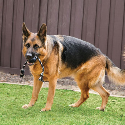 Kong Pelota Kong Extreme Con Lazo Large