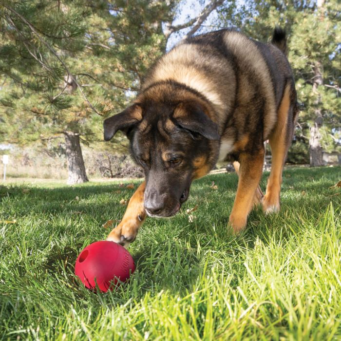 Kong Pelota De Caucho Kong Classic Medium/Large