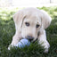 Kong Portasnacks Kong Puppy
