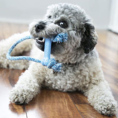 Kong Hueso Kong Puppy Con Cuerda X-Small
