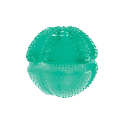 Kong Pelota Dental Kong Squeezz