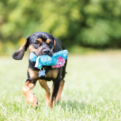 Kong Peluches Kong Cozie Perro Bally
