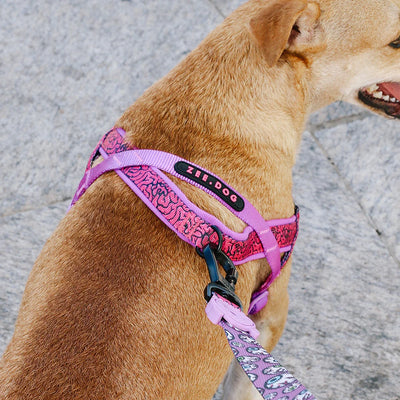 Zeedog Arnés Softer-Walk Brain - Rosa