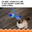 Catstages Catstages Juguete Varita Cola Air Prey Para Gato