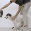 Zeedog Arnés Flyharness Vortex